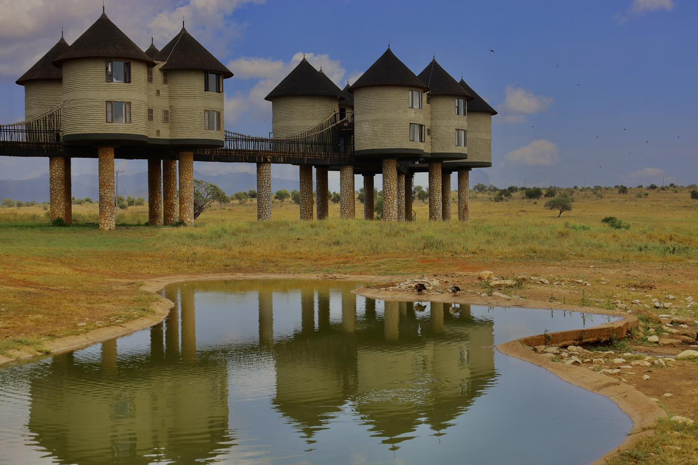Tsavo