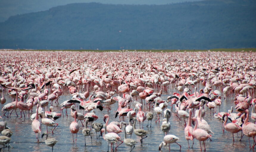 Nakuru Moves To Promote Conference Tourism