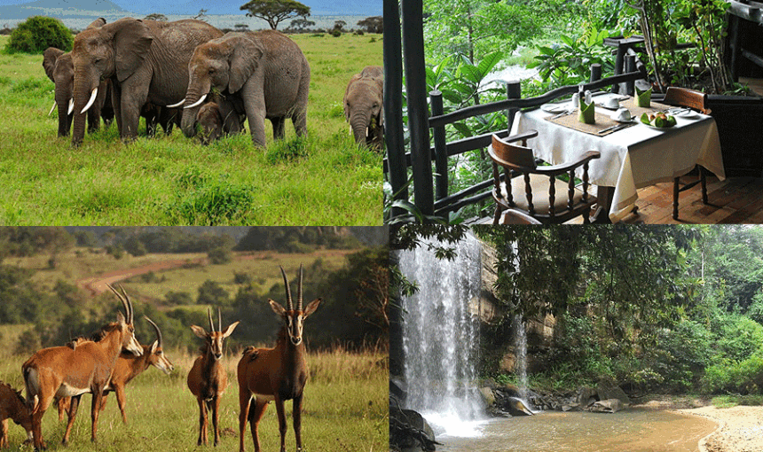 SHIMBA HILLS NATIONAL RESERVE