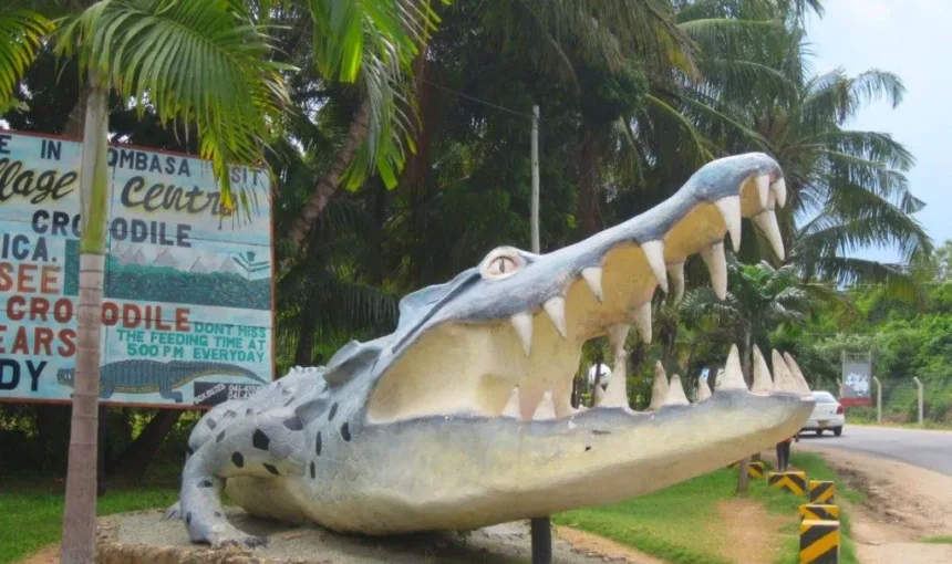 Mamba Village In Mombasa