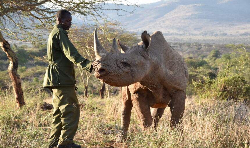 Endangered Animal Species In Kenya