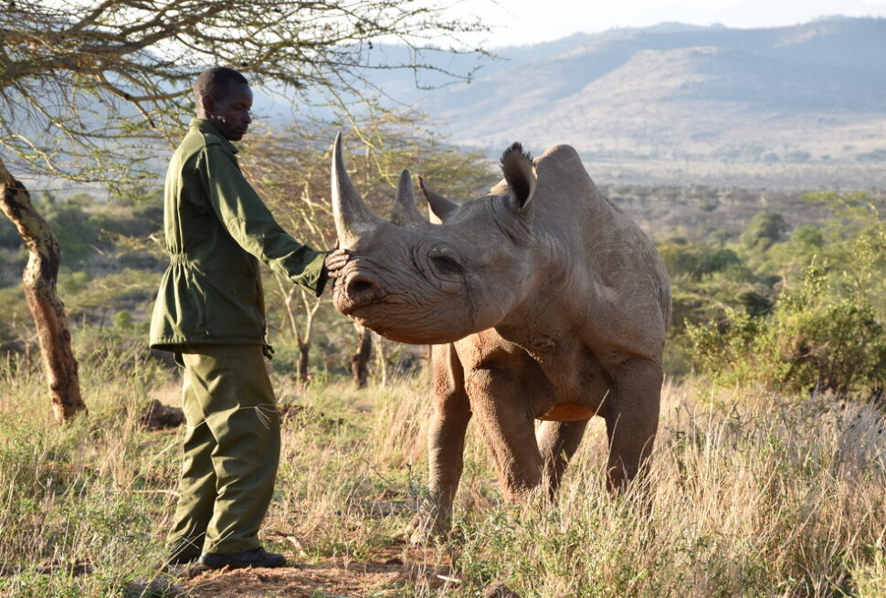 Endangered Animal Species In Kenya