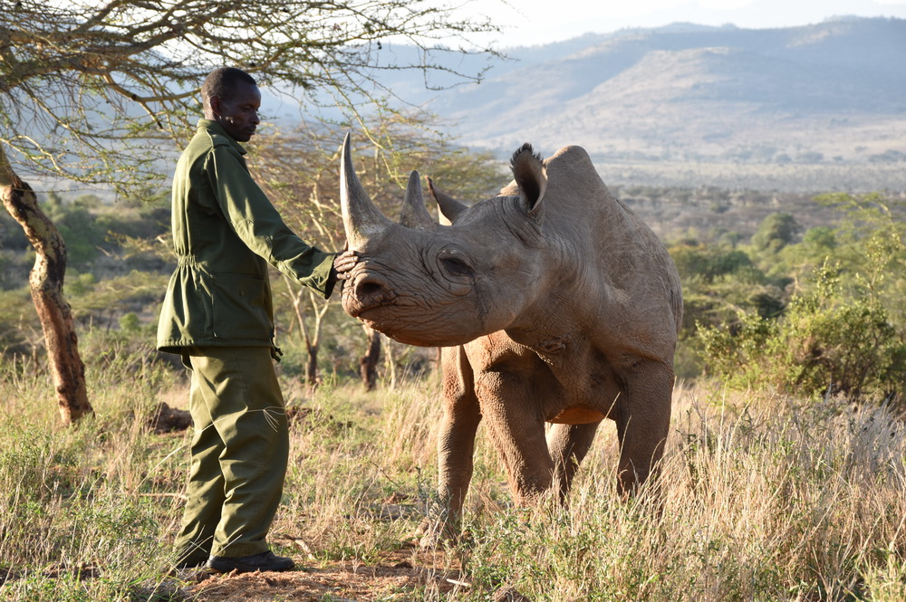 Endangered Animal Species In Kenya