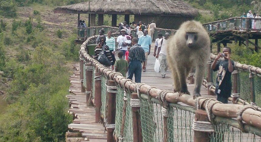 Nairobi Safari Walk