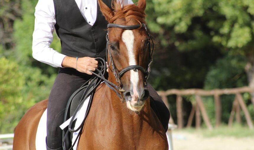 Best Horse Riding Places In Nairobi