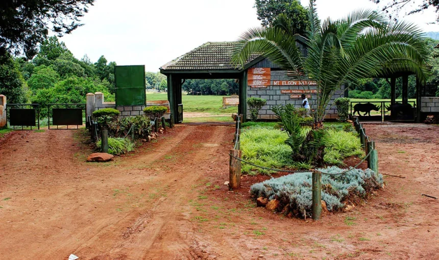 Mount Elgon National Park