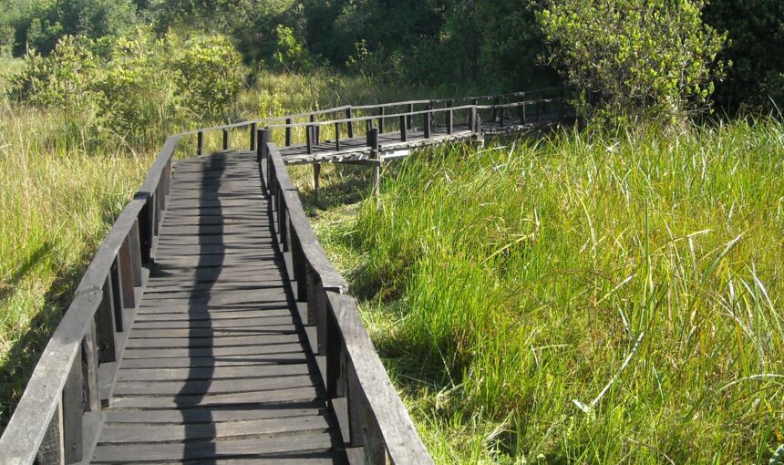 Saiwa Swamp National Park