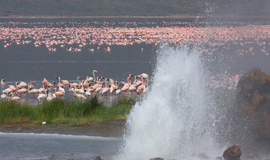 Lake Bogoria National Reserve