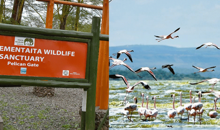 Lake Elementaita Wildlife Sanctuary