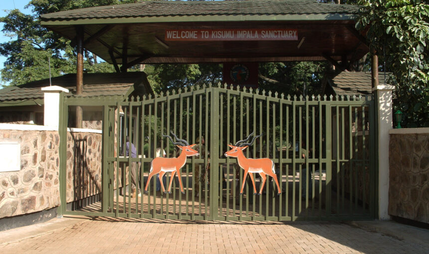 Kisumu Impala Sanctuary