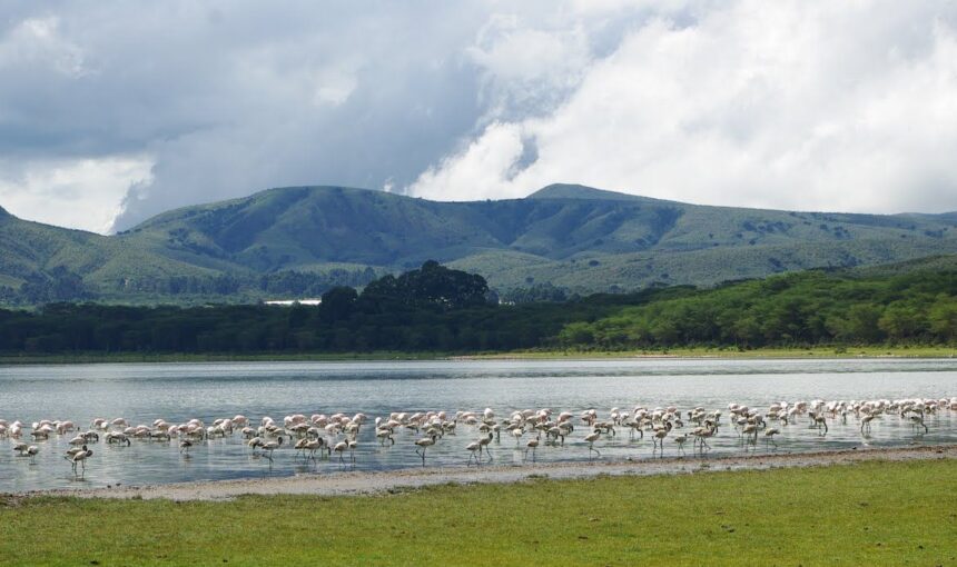 Places To Visit In Lake Naivasha