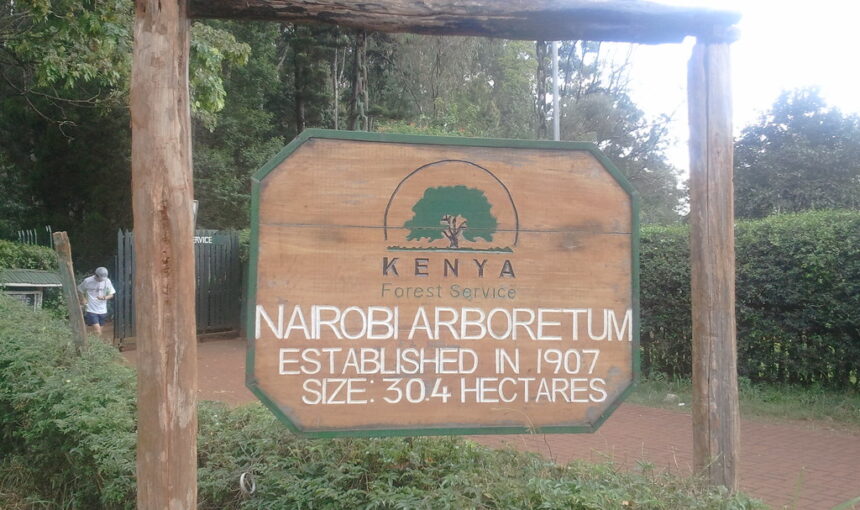 The Nairobi Arboretum