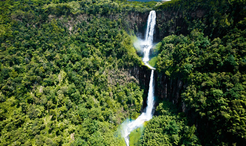 Aberdare National Park