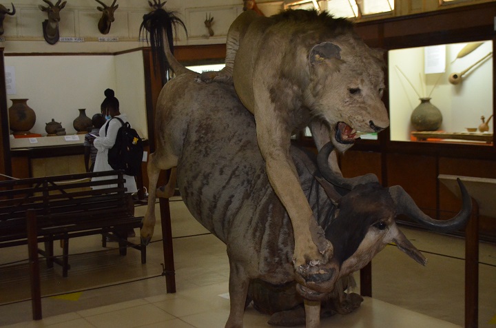 The Kisumu Museum