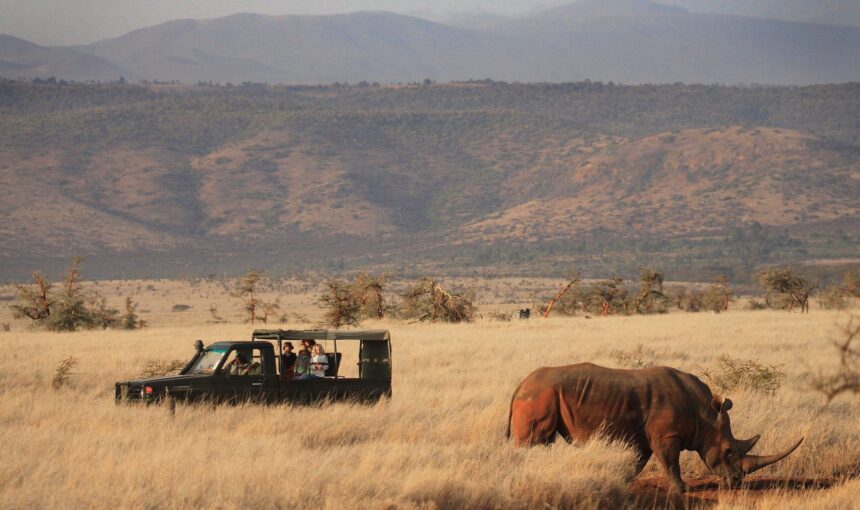 Lewa Wildlife Conservancy