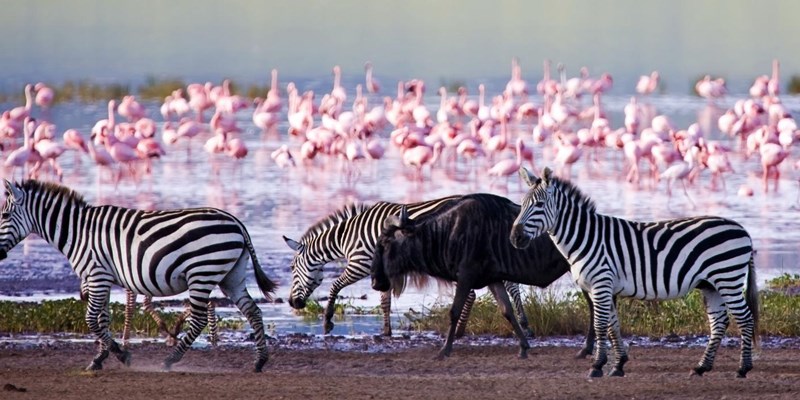 Lake Nakuru National Park Activities