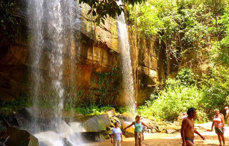 Shimba Hills National Park Day Trip.