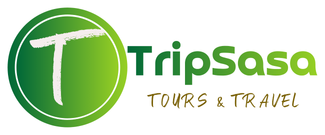 Color logo - no background1