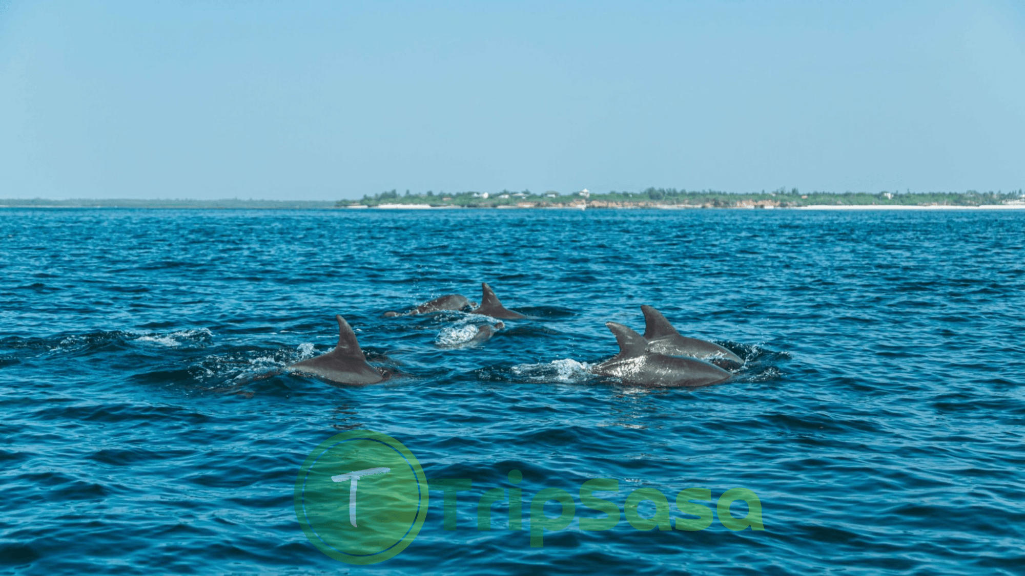 Watamu Safari Blue Excursion
