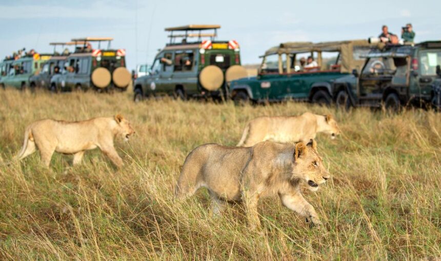 TSAVO EAST DAY TRIP FROM DIANI.