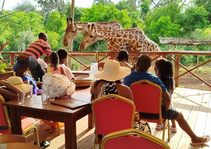 BoraBora Wildlife Park Day Trip.