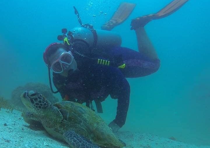 Scuba Diving In Mombasa.