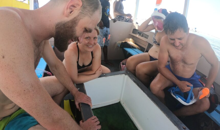 Glass-Bottom Boat Tour Diani.