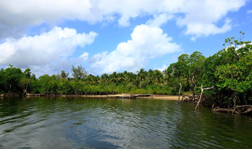 DAY TOUR TO FUNZI ISLAND