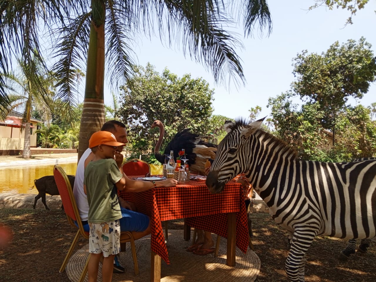 BORA BORA DIANI WILDLIFE  PARK  DAY TRIP