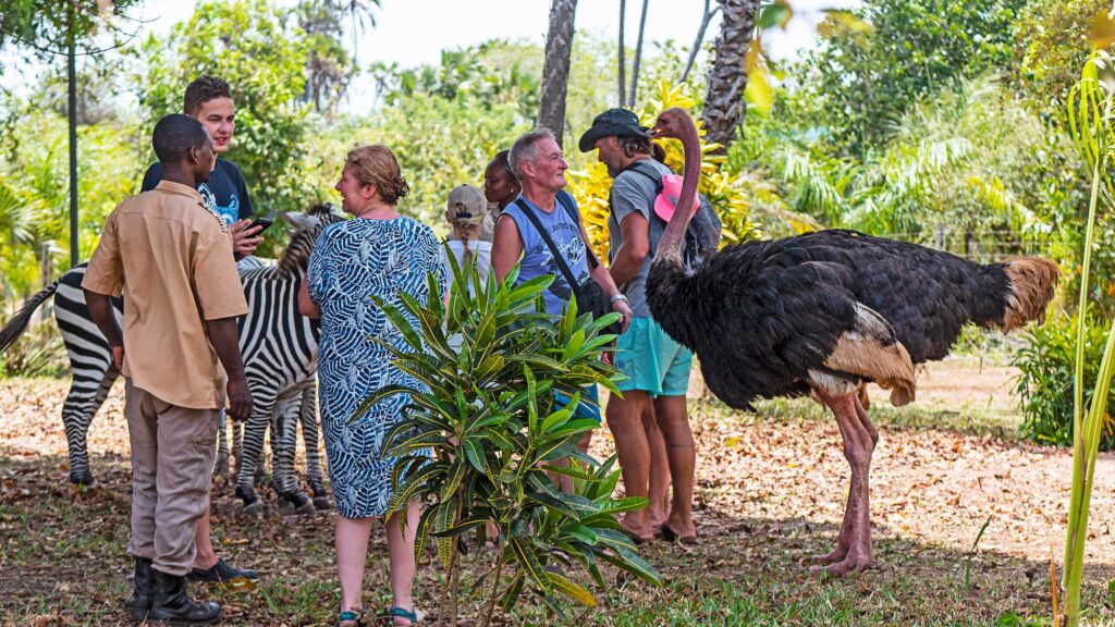 Borabora tour in diani