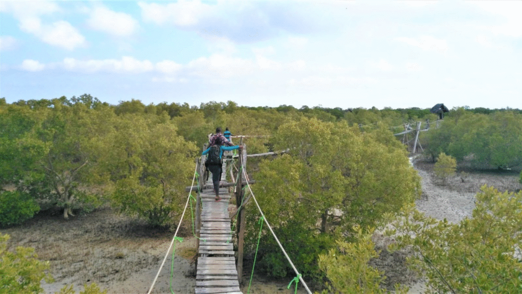 Mida creek Tour