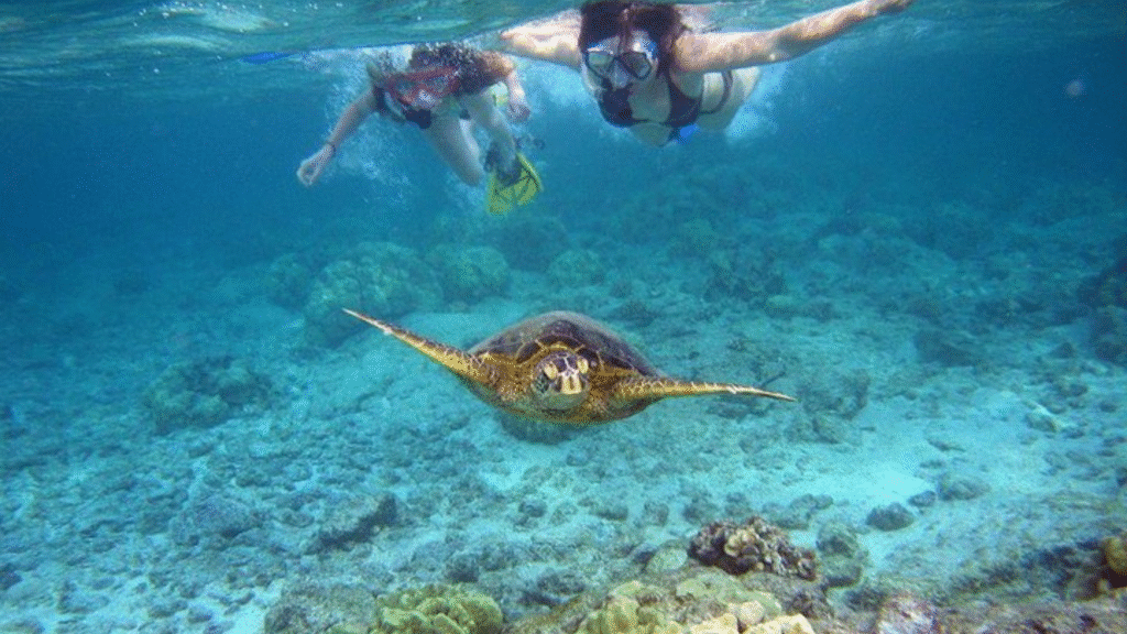Watamu best activities