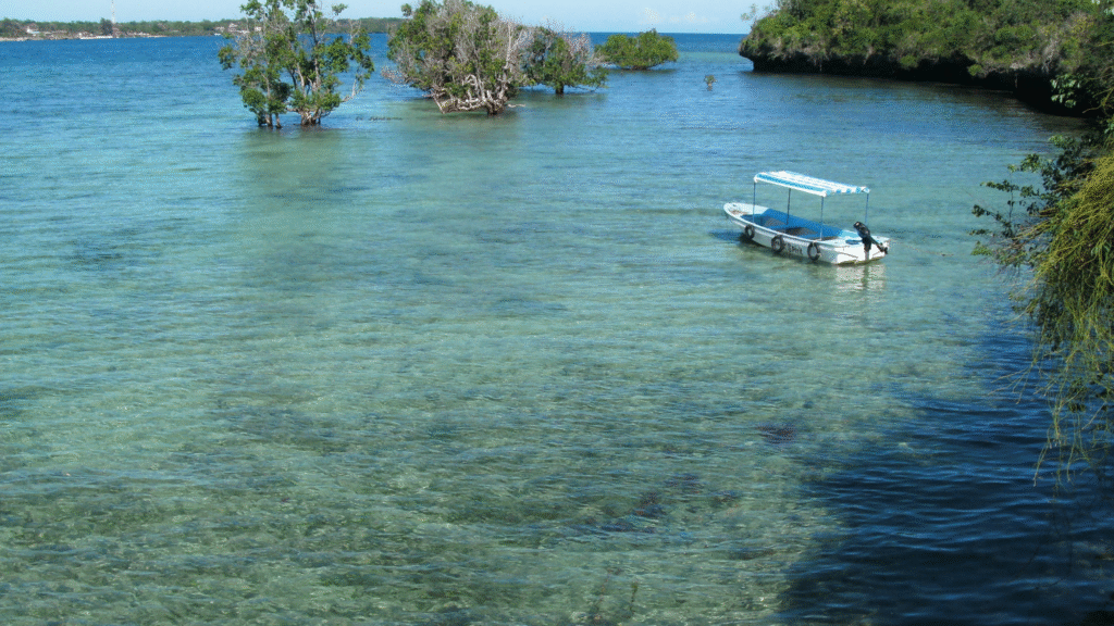 Watamu marine park