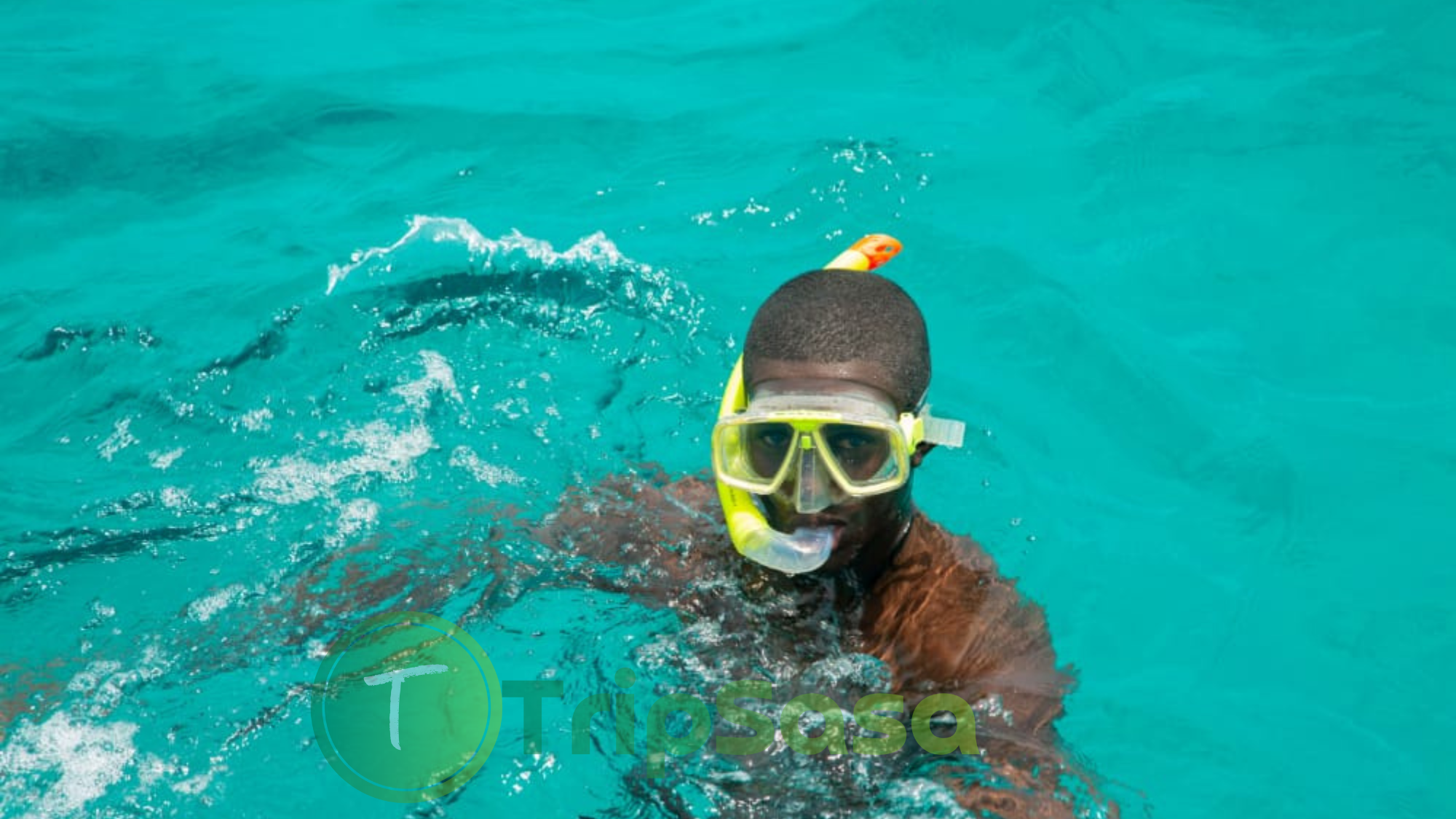 WASINI ISLAND DAY TRIP