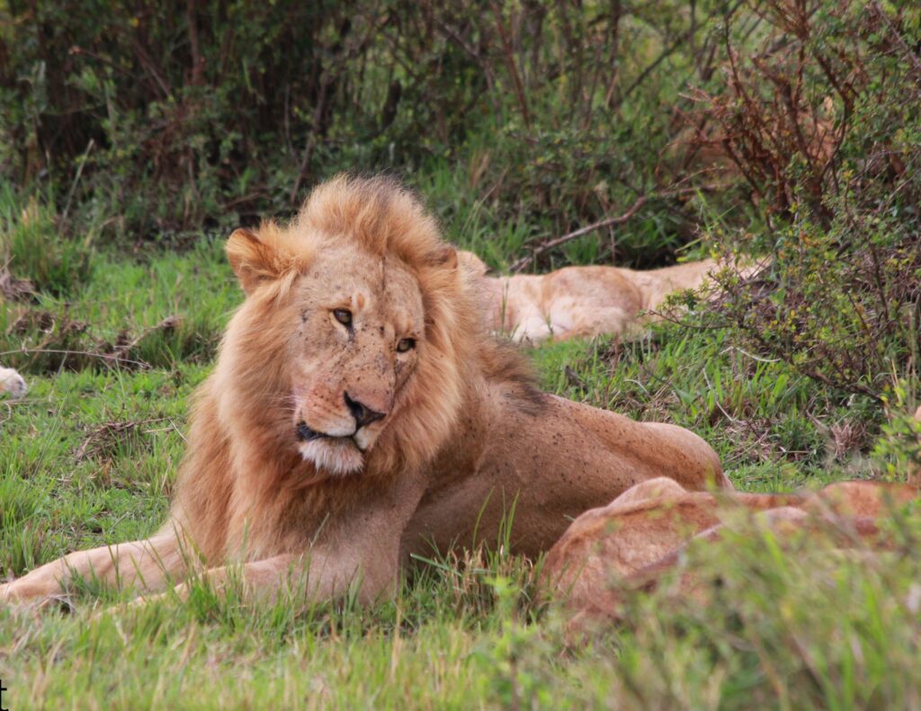 613467629_1181836664150870_7501350118051349811_n