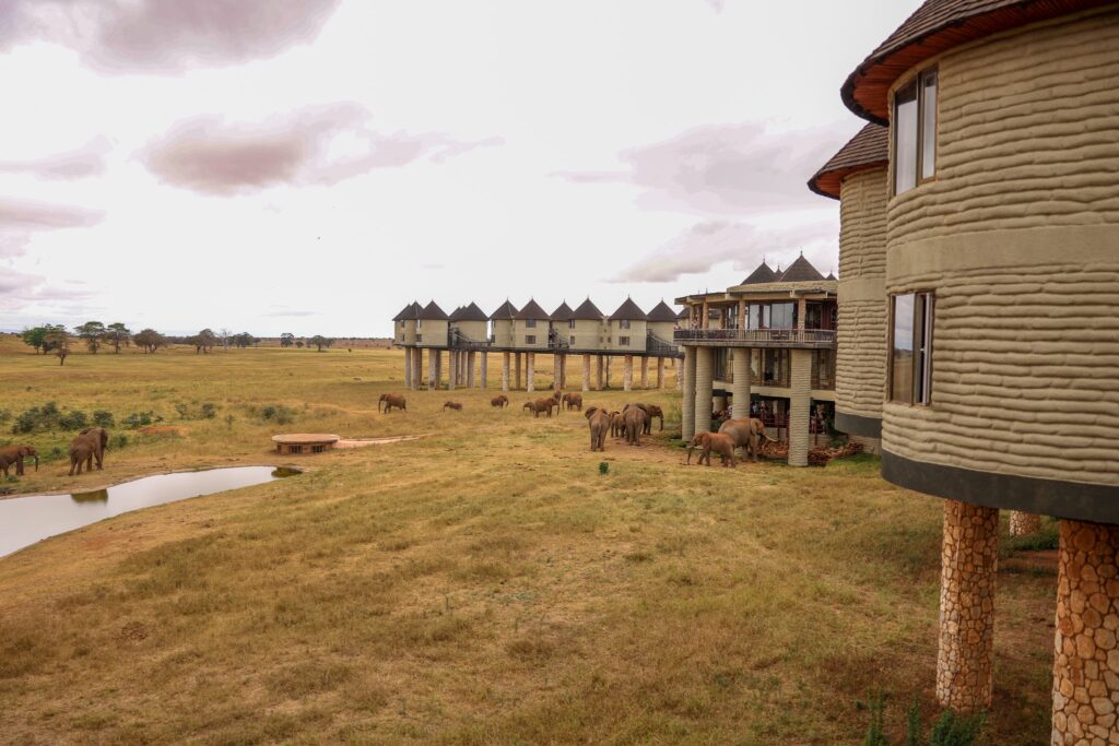 615406568_1187088776958992_674981834425407228_n