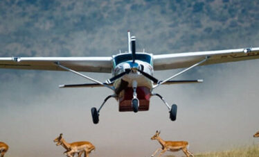 flying-safaris kenya