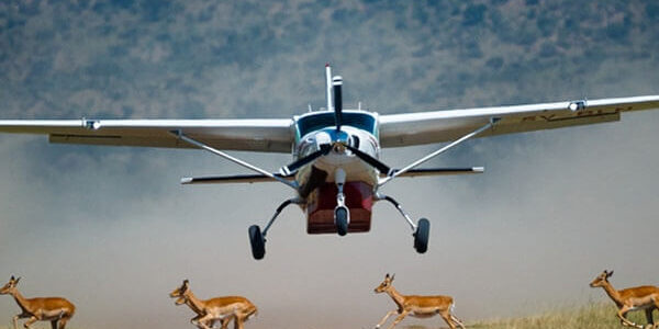 flying-safaris kenya