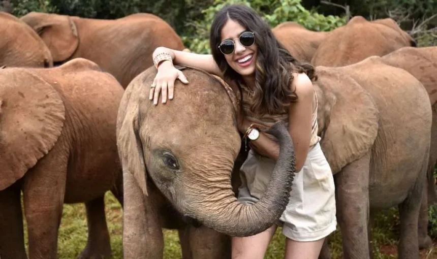 Nairobi National Park, Elephant Orphanage and Giraffe Centre Tour