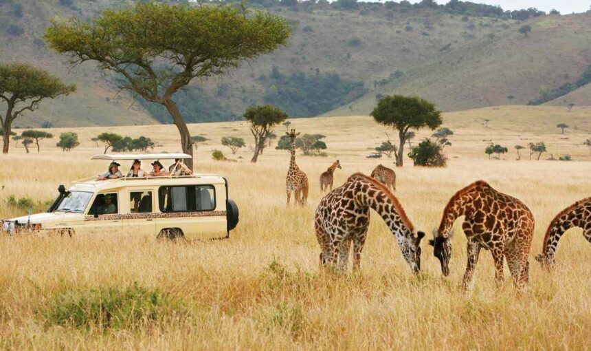 Top Rated Tourist Attractions In Kenya