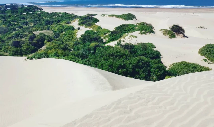 Why International Travelers Should Visit Mambrui, Kenya